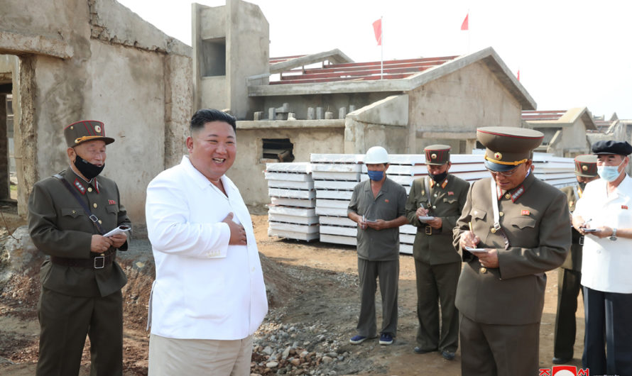 Visita a granja avícola en construcción