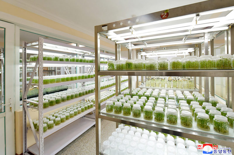 Nuevas instalaciones dedicadas a las ciencias.