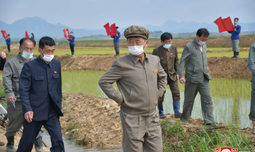 Primer ministro supervisa zonas agricolas.