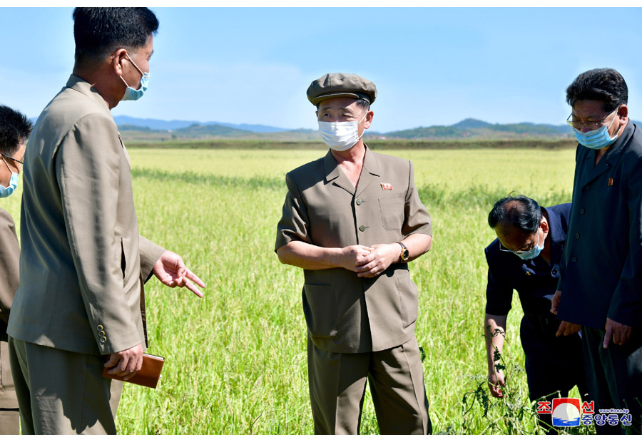 Kim Tok Hun Supervisa Varios Sectores De La Economía. – Asociación De ...