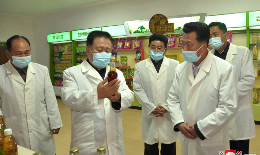 Visita de trabajo a la provincia de Phyong-an del Norte.