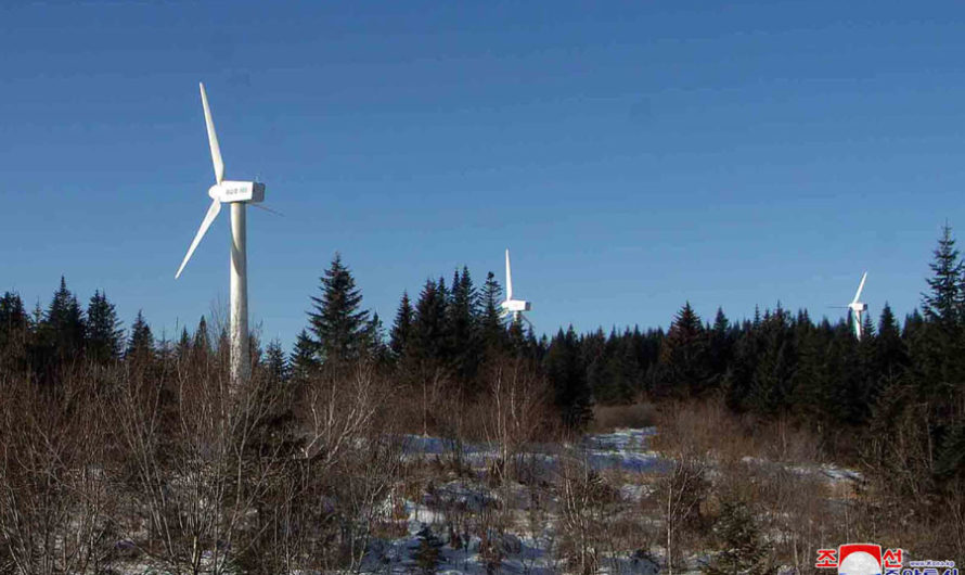 Se amplía uso de energía eólica