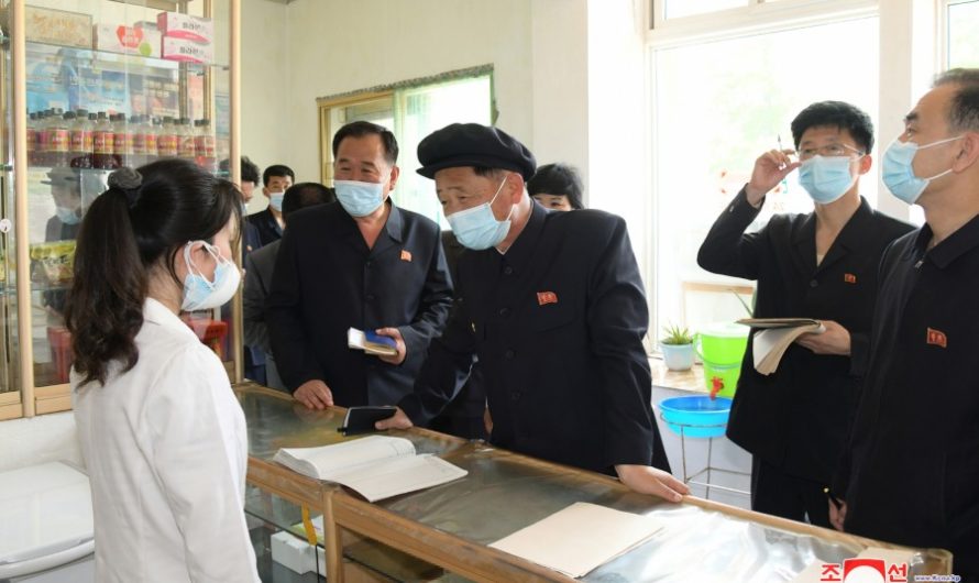 Gira de trabajo por Hwanghae del Norte y Nampho.