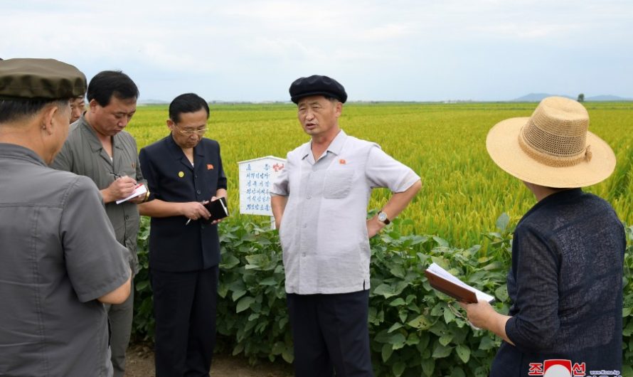 Gestiones agrícolas en Hwanghae del Norte y  Hwanghae del Sur