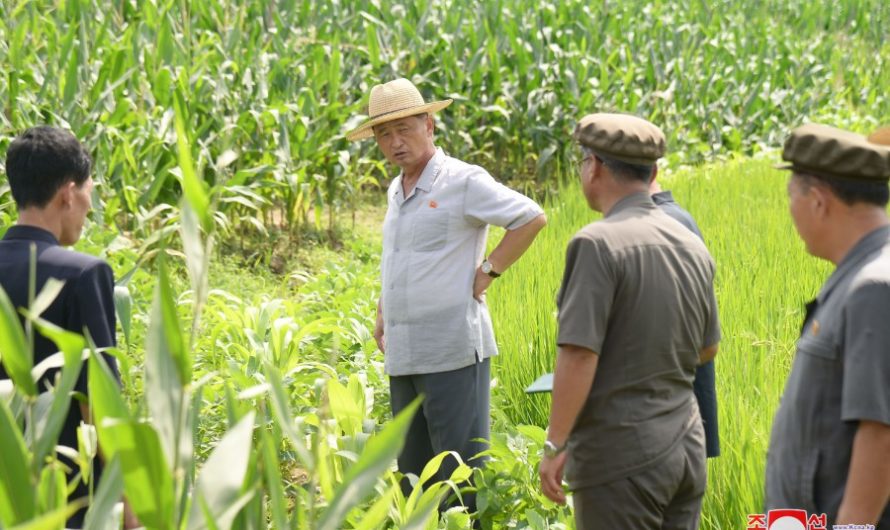 El sector agrícola toma medidas previas a desastres ambientales