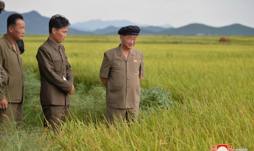 Premier recorre la provincia de Hwanghae del Sur