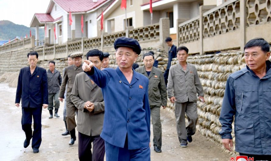 Premier coreano supervisa varias ramas