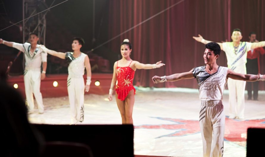 Circo nacional de Corea