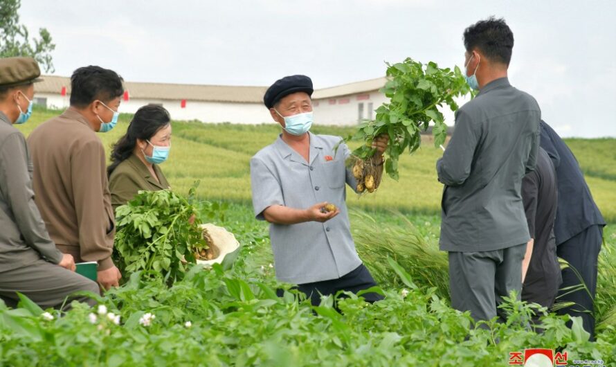 Kim Tok Hun supervisa varios dominios de la economía nacional
