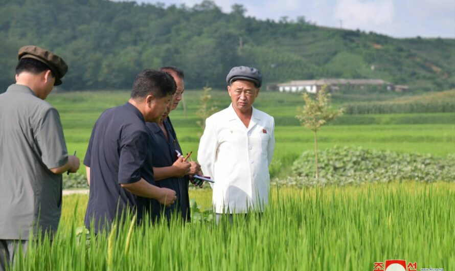 Kim Tok Hun supervisa la marcha de faenas agrícolas