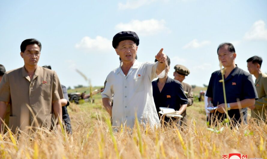 Kim Tok Hun supervisa la rama agrícola de la provincia de Hwanghae del Sur