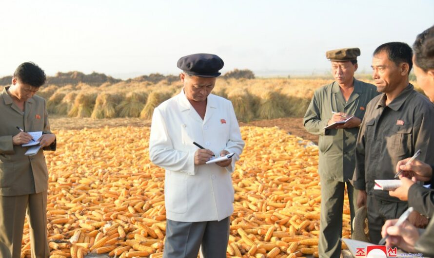 Supervisión del sector agrícola en Phyong-an