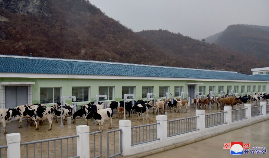 Construida granja ganadera en Kangdong