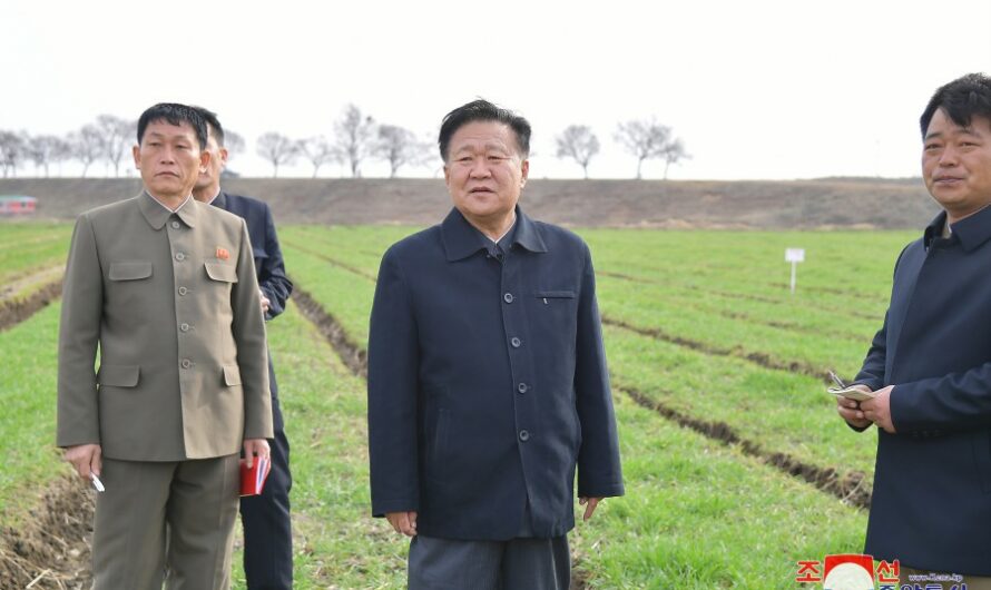 Visita de trabajo a la Granja de Verduras de Mangyongdae