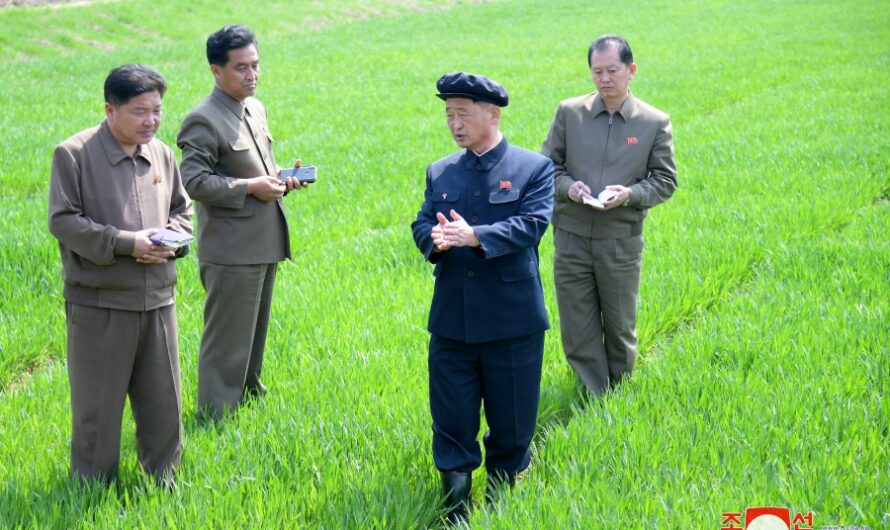 Kim Tok Hun supervisa el sector agrícola de ambas provincias de Hwanghae