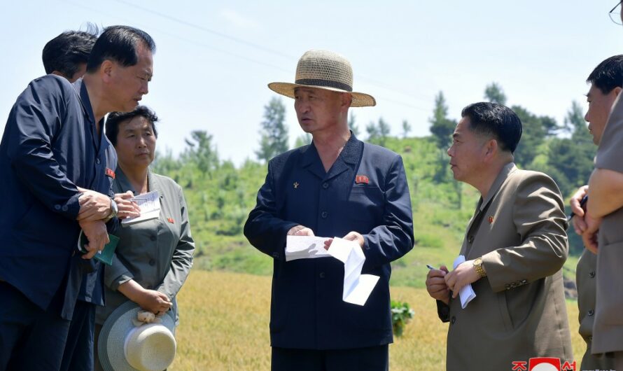 Kim Tok Hun supervisa el sector agrícola de la provincia de Hwanghae del Norte