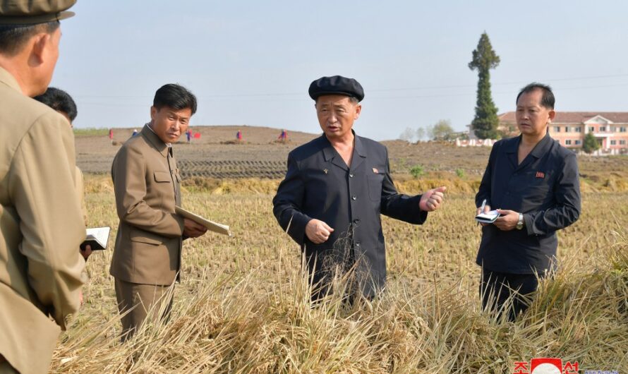 Reparación de daños y visita al sector agrícola en Phyong-an del Norte
