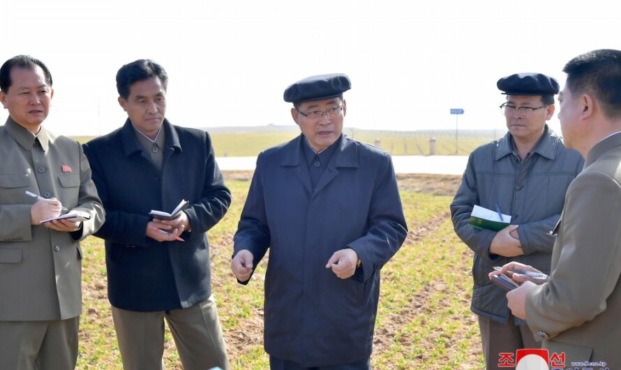 Faenas agrícolas en Hwanghae del Sur