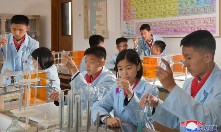Importancia de la educación socialista