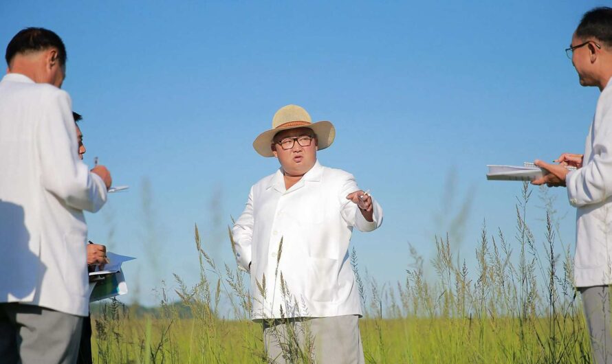 Perfeccionamiento del sistema de irrigación en  Hwanghae del Sur
