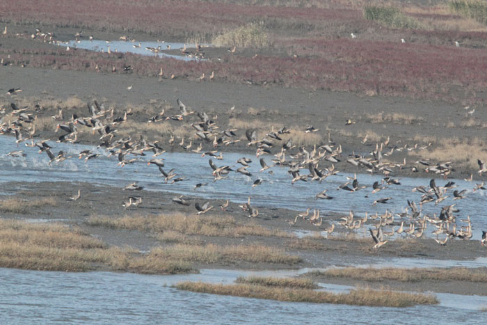 Reserva de aves de Mundok