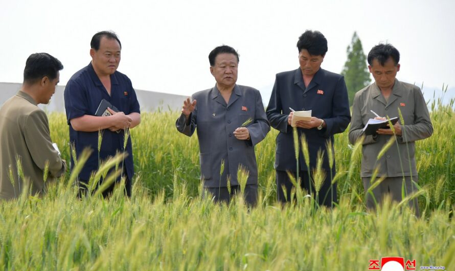 Gestiones en varios sectores en Hwanghae del Sur