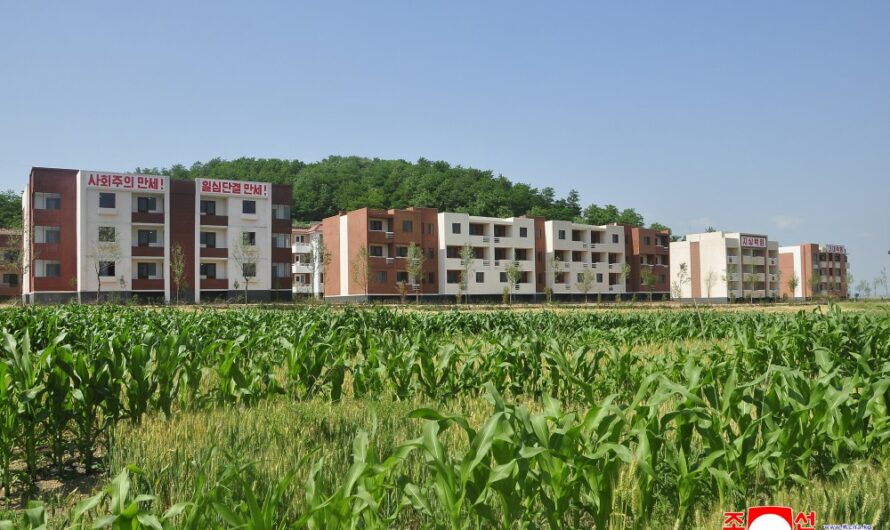 Mudanza a nuevas viviendas en la Granja de Rajinpho del distrito Yon-an