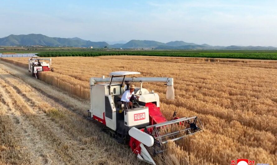 Grandes cambios en el campo