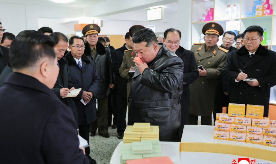 Inauguradas fábricas de industria local en el distrito de Jangyon.