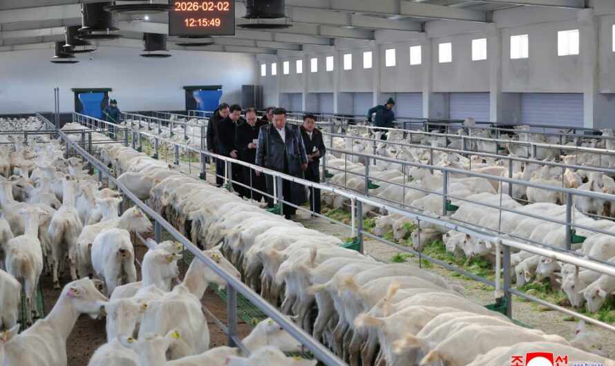 Inauguración de la  Granja Ganadera de Samgwang