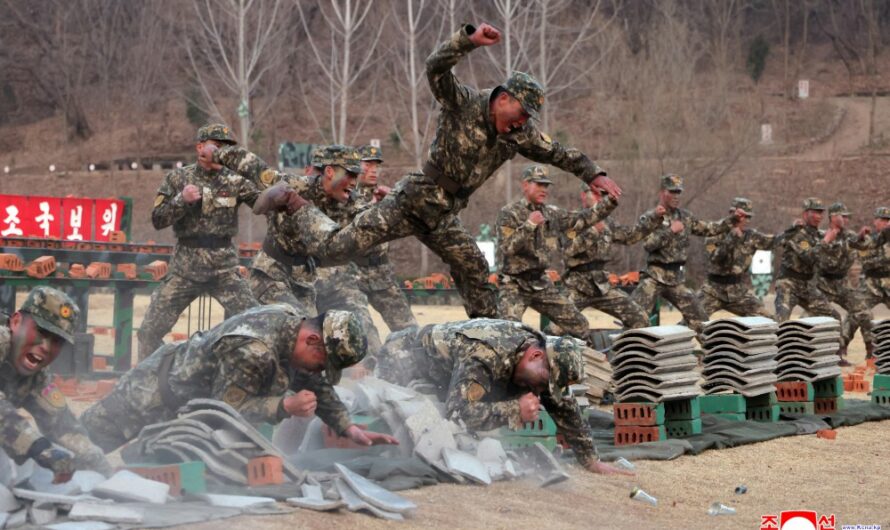 Ejercicios de operación especial