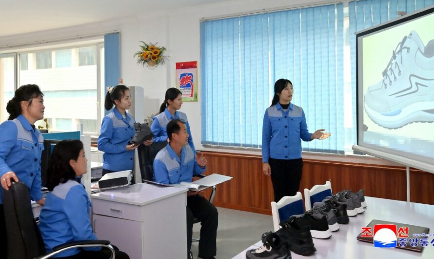 Desarrollo de la industria ligera