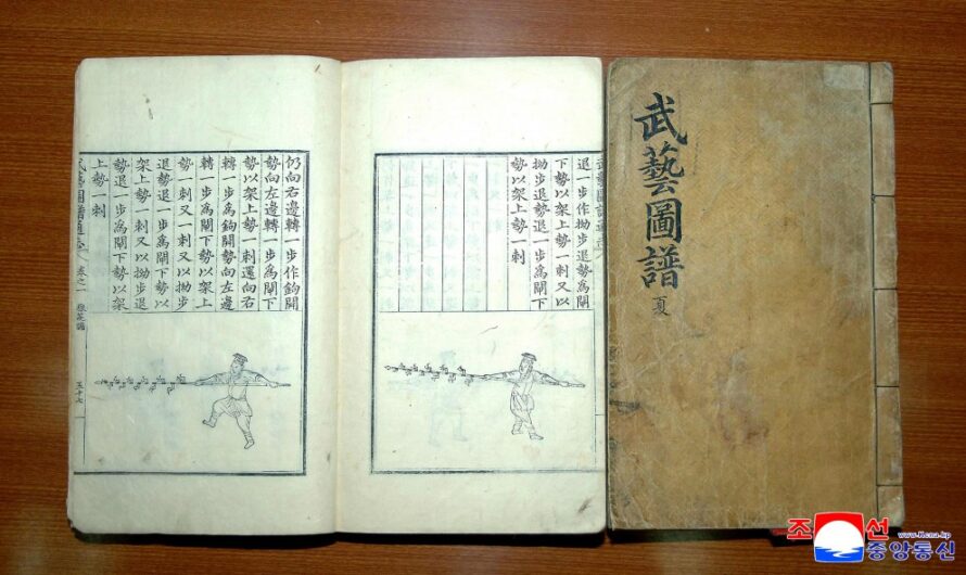 Libro ilustrado de Artes Marciales