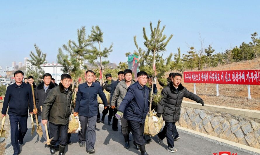 Esfuerzos por la repoblación forestal