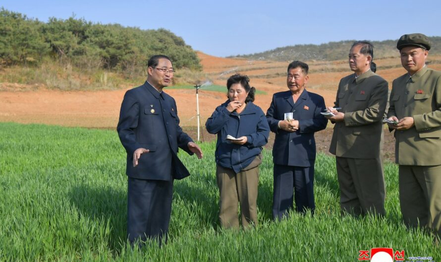 Situación agrícola de varias provincias
