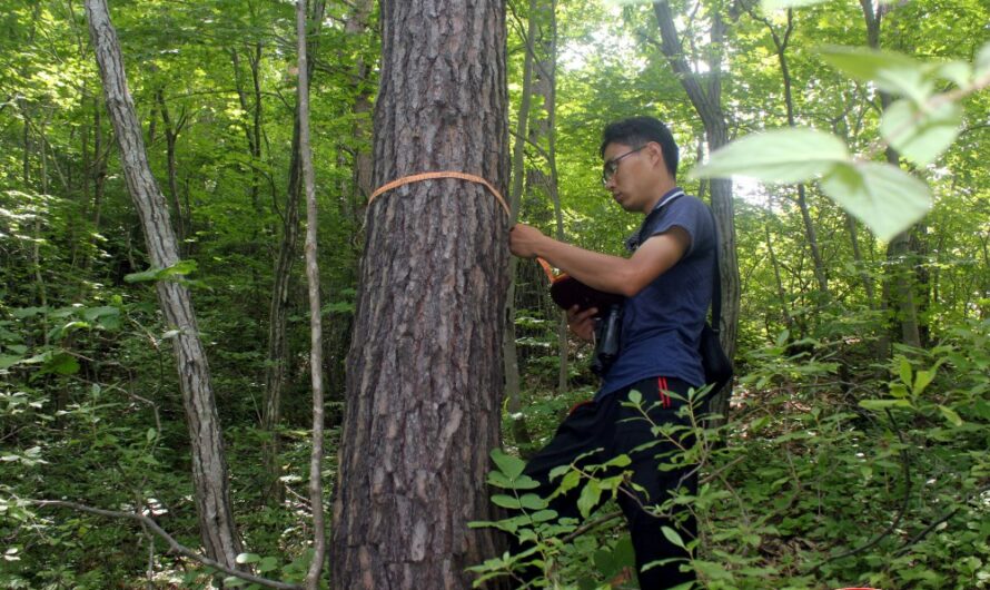 Esfuerzos por proteger la biodiversidad del país