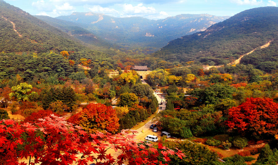 Recursos terapéuticos de paisaje