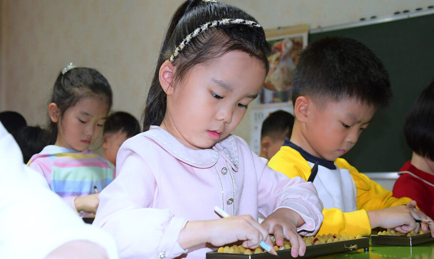 Desarrollo intelectual infantil